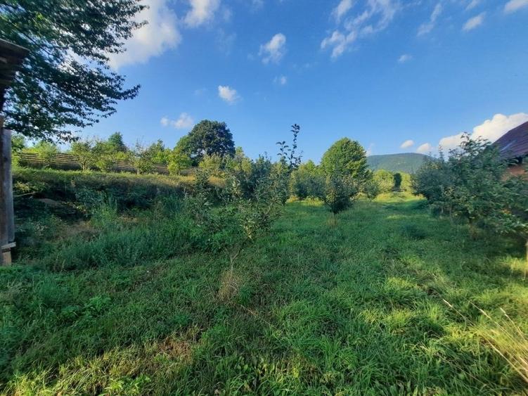 Teren de vanzare Viisoara (Pensiunea Smarandita) 1091 mp , Cod 148077 - 1