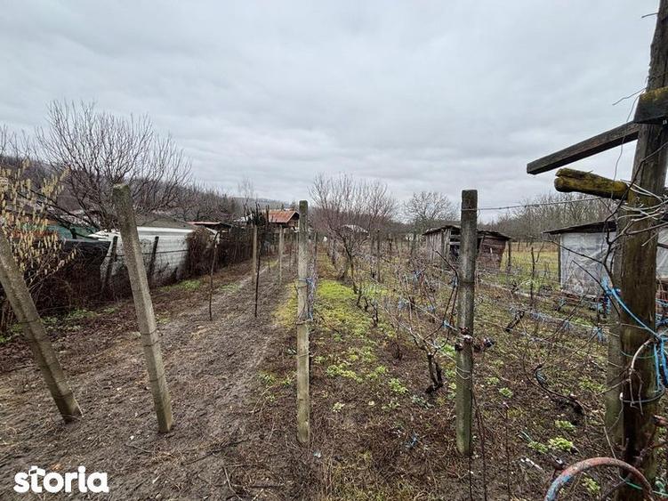 Teren+casa batraneasca+ teren agricol - 5