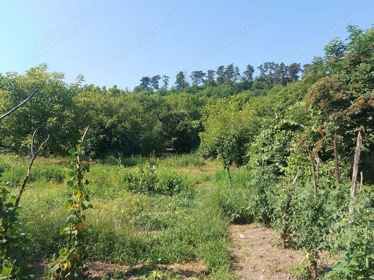 Casa cu gradina in Blaj - 8