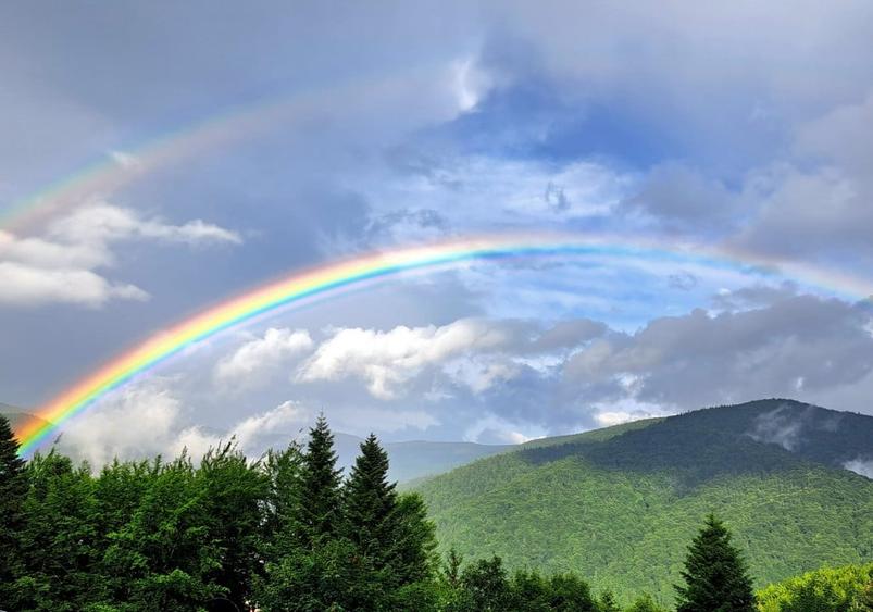 VAND PENTHOUSE 280 MP IN VILA + GARAJ LUX IN SINAIA PH COTA 1400 - 15