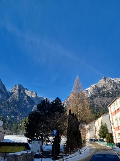 Apartament 2 camere cu priveliste asupra muntilor - 4