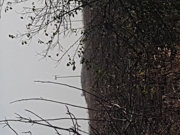 Teren agricol extravilan de 150000 mp, în Central