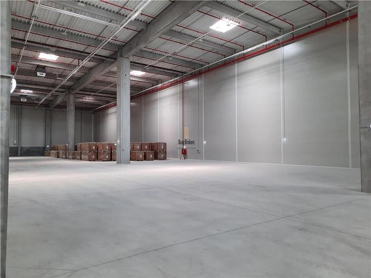 Spațiu industrial, de 5,500 mp, în Sud