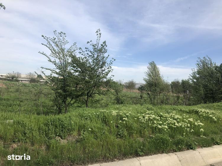 Teren de 5000 mp, în Adunații-Copăceni