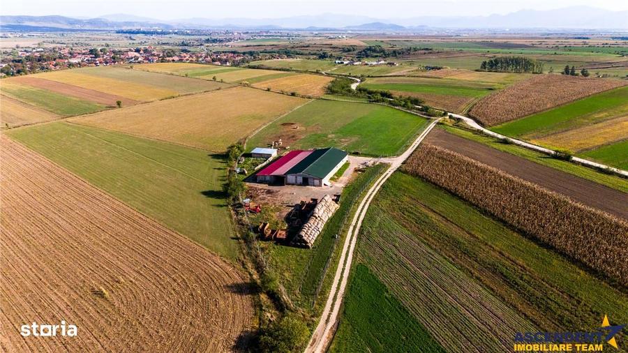 Teren de 18000 mp, în Feldioara