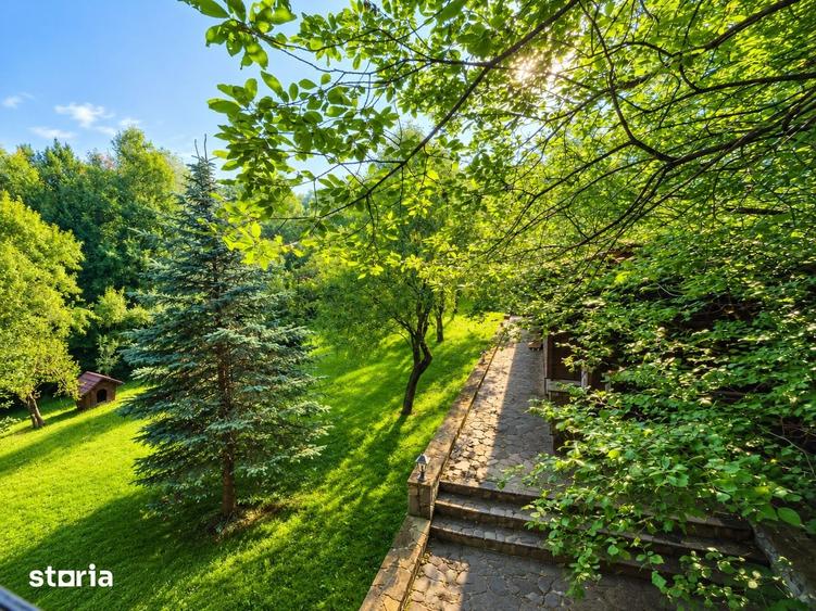 Mountain Chalet | Private Resort | Investment - Nistoresti - 11