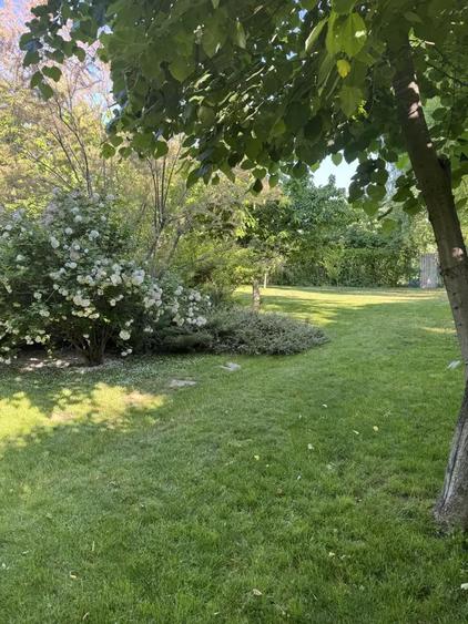 Vand proprietate deosebita in Bragadiru-Prelungirea Ghencea. - 10