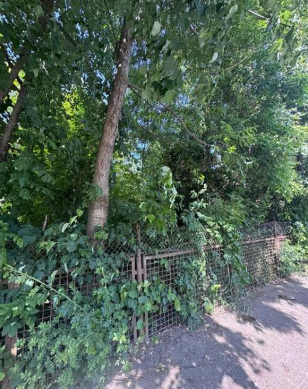 Teren constructii, 4200mp, Radauti - 4