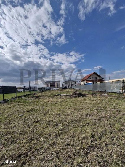 Teren intravilan, 647 mp, fs 17 ml, Mosnita Noua - 3