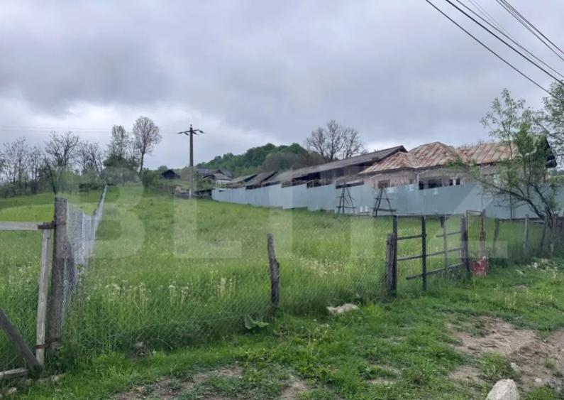 Teren de Vanzare in Bezdead - 3