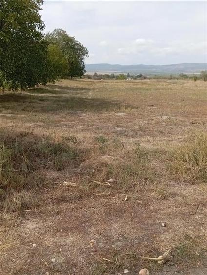 Teren intravilan 4040 mp, Campineanca - 1