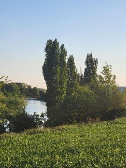 Teren 520mp, pe str. "Trei Lacuri", 90E/mp - 6