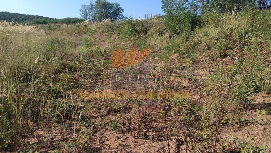 Teren Construcții intravilan de 500 mp, în Moșoaia