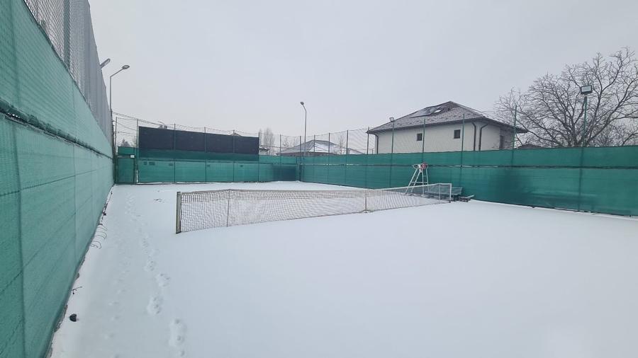 Teren de vânzare – 1322 mp în Mogoșoaia, investiție excelenta - 7