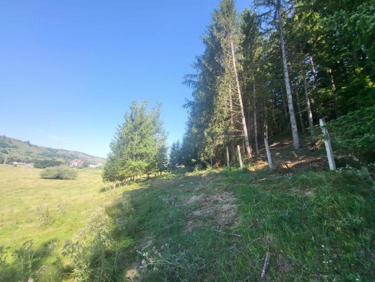 Teren, Ideal pentru Investitie Sau Dezvoltare - 3