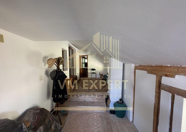 CASA 6 CAMERE TEREN 1005 MP BUGHEA DE JOS ARGE? - 15