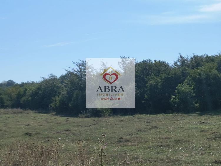 Teren intravilan investitie - 1