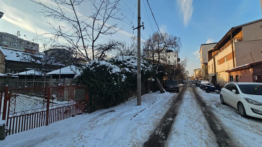 Teren patrat, strada linistita langa Ciuperca Domenii - 7