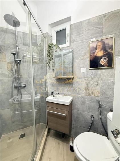 Vanzare Garsoniera Demisol, Piata Victoriei - Iacob Felix, Bucuresti - 8