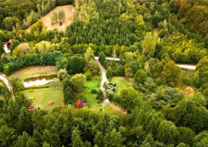 OFERTA REZERVATA!!Refugiu montan,cu 2100 mp domeniu verde,ar - 9