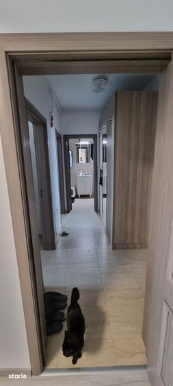 Apartament 2 Camere Drumul Dealu Cucului - 9
