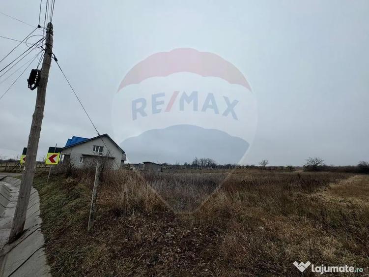 Teren intravilan 2,146 mp Carligele / Strada Vinului - 1