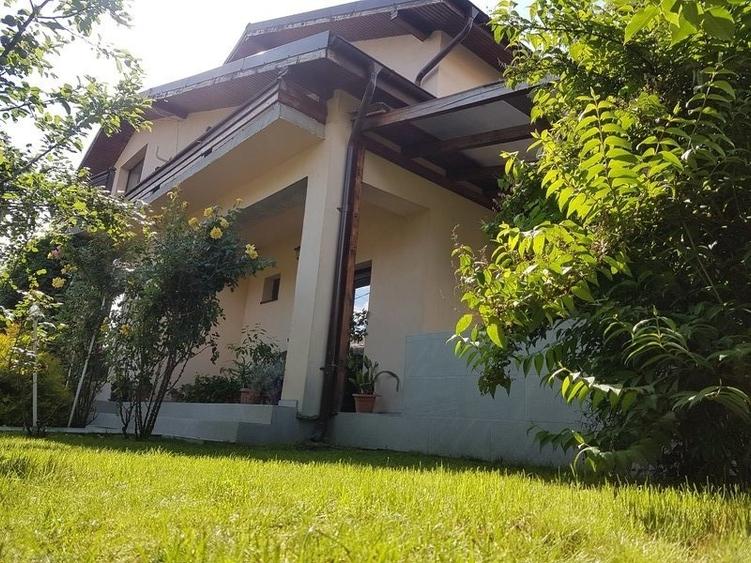 Tartasesti, Gulia - 10