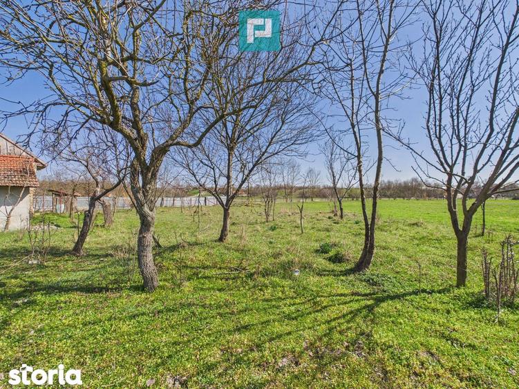 Casa cu teren de 6000 mp in Duboz, Timi? - 2
