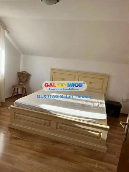 de inchirere vila Stefanesti Lidl ....curte amenajata teren 300 mp - 1