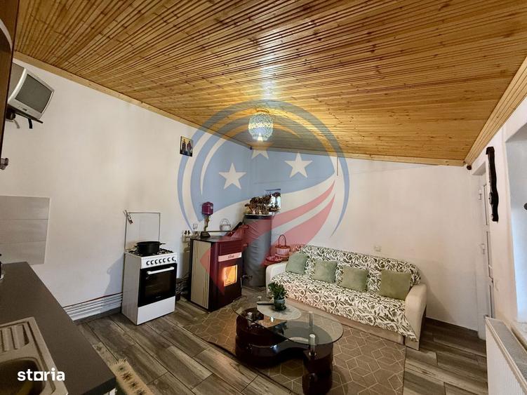 Casa cu teren generos/de vanzare/com Leu, Dolj - 10