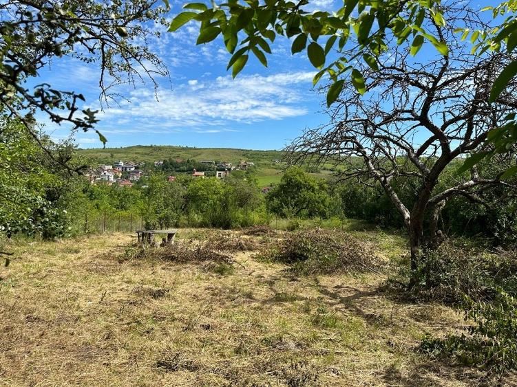 Vând teren 1000mp Borhanci str Voievod Gelu nr 22D - 3