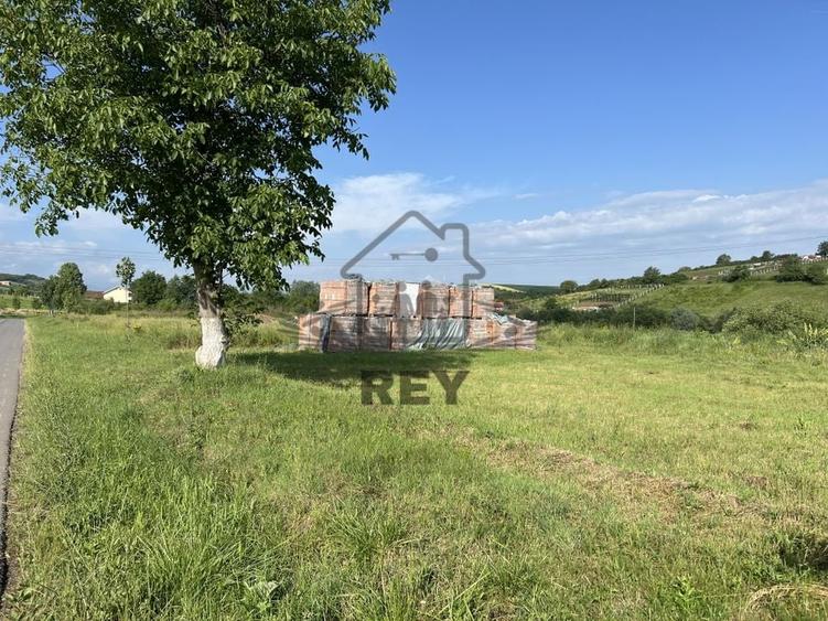 Teren HALA de vanzare iesirea din Sura Mare spre Hamba. - 5