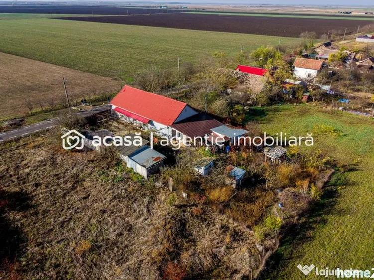 ???? Oportunitate Unica de Vanzare in Variasu Mare! ???? - 4