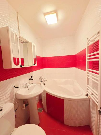 Apartament cu o camera Ic Frimu CT mobilat si utilat - 9