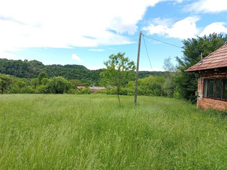 Borlovenii Noi, Teren Drept, 16000mp, la Limita Localitatii - 2