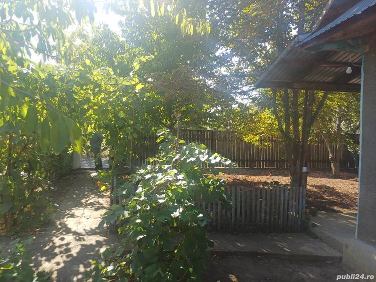 casa de vanzare sat rogojeni. - 7