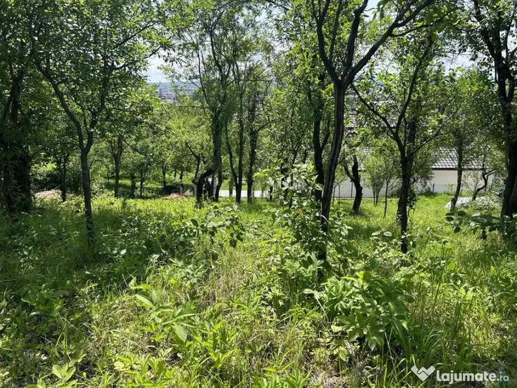 Parcela de 3.72 ari zona Valea Rosie - 1