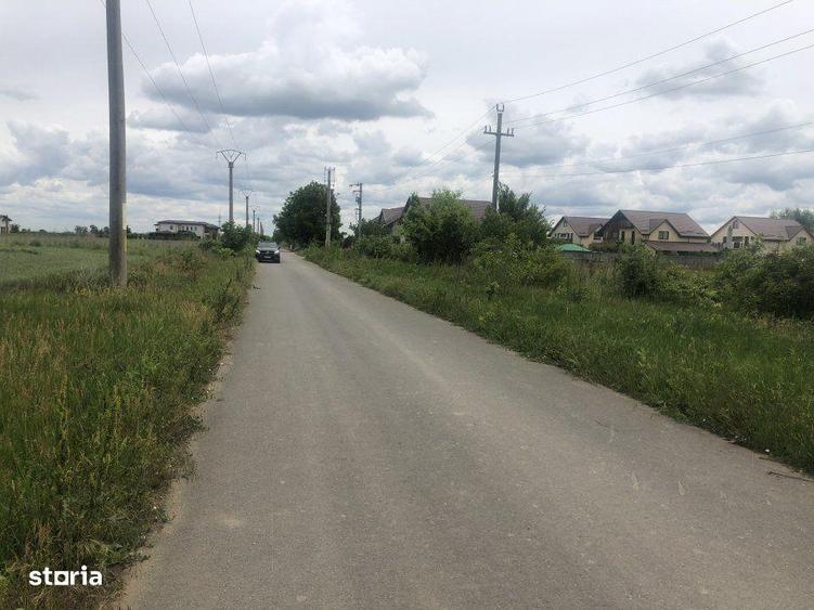 Vanzare Teren construibil 500mp 1 Decembrie Ilfov - 3