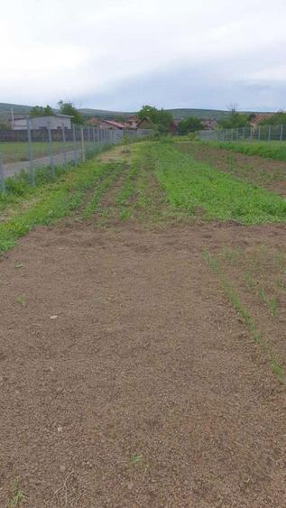 Teren de vanzare in Mihai Viteazu, Cluj - 3