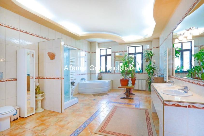 Vila 9 camere Cotroceni- Parcul Operei - 12