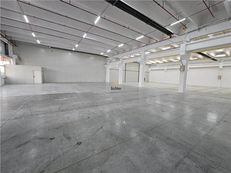 Spatiu Comercial - 900 mp - Showroom - Depozitare - 3