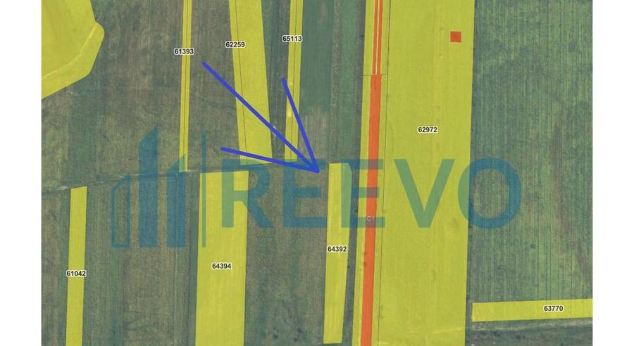 Teren de vanzare, Nicolae Balcescu, Bacau - 2