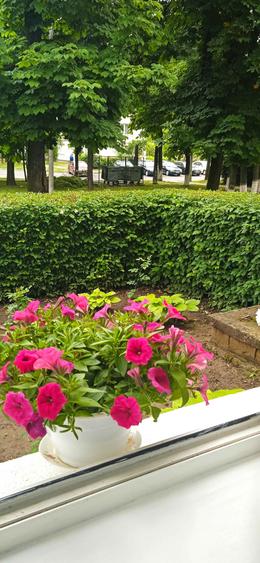 Apartament 2 camere onesti - 8