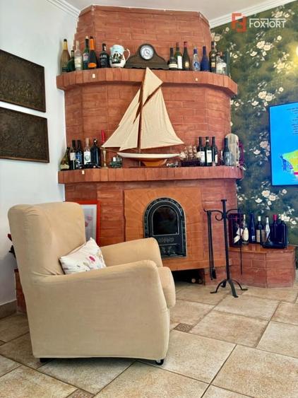 Casa individuala cu 5 camere si teren de 1 hectar - Ghioroc - Arad - 13