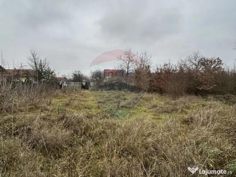 Teren 1,200mp si 400m2 cota drum Satu Nou de Jos / Strada... - 8