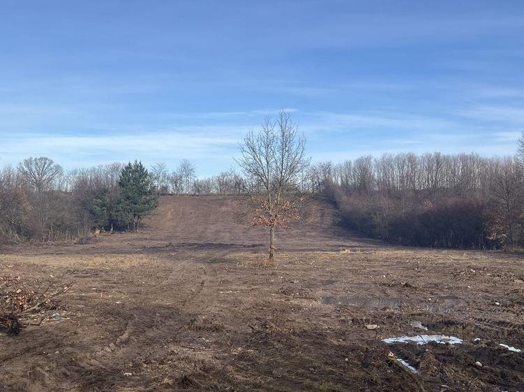 Vand teren Zervesti, comuna Turnu Ruieni - 2