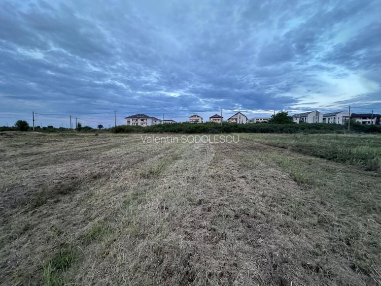 Teren servici cu front la BLD Petre Tutea