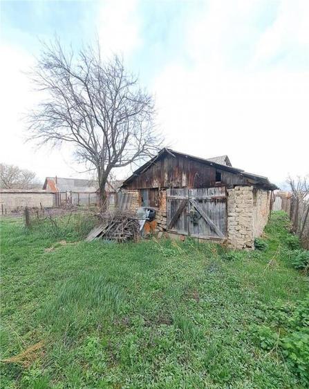 RECO Apartament cu curte, garaj si gradina Astileu - 4