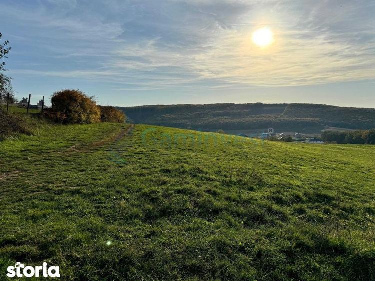 Teren de vanzare in Betfia, 5487 mp intravilan, Bihor, Gaminvest-V4571 - 2