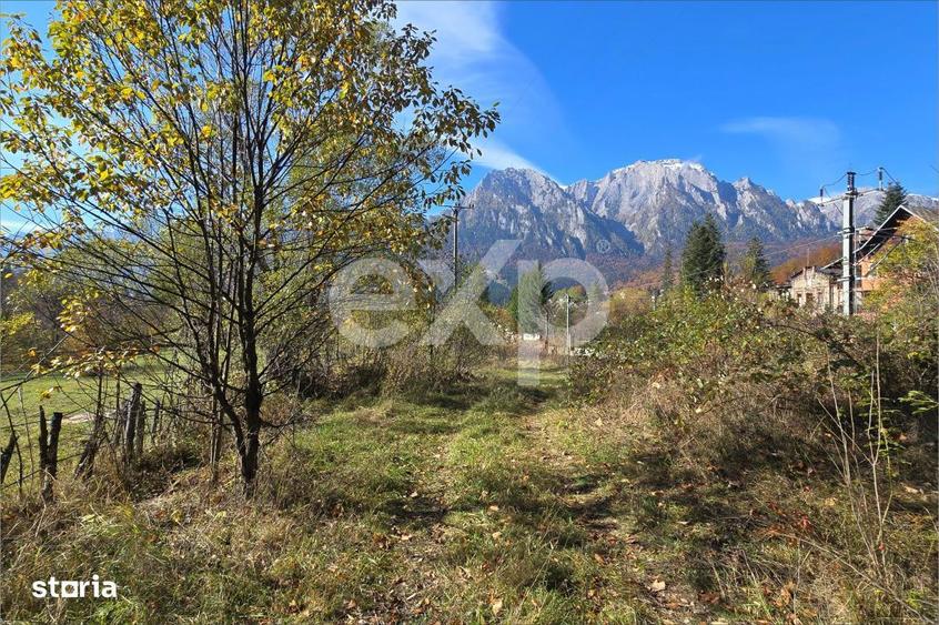 Teren intravilan in Busteni, cu vedere spectaculoasa spre Crucea Carai - 8